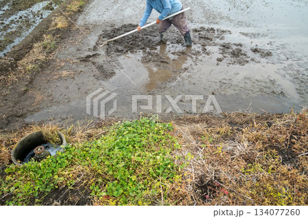 Agriculture 134077260