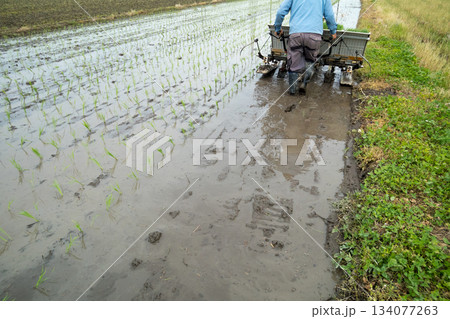 Agriculture Agriculture 134077263