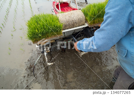 Agriculture 134077265