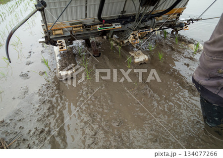 Agriculture Agriculture 134077266