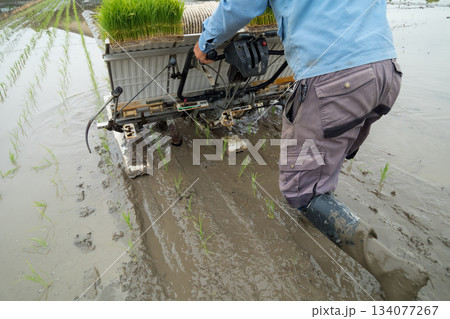 Agriculture Agriculture 134077267