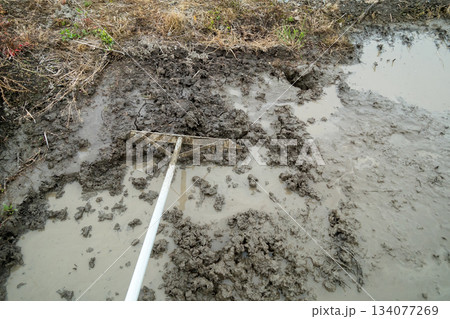 Agriculture Agriculture 134077269