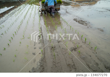 Agriculture 134077270