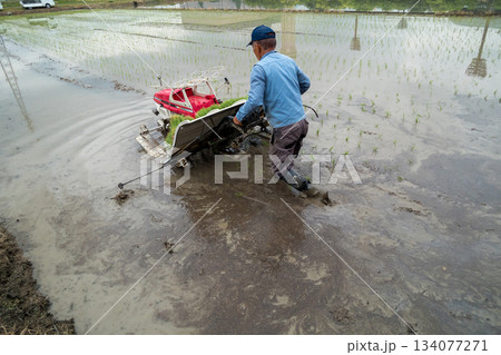 Agriculture Agriculture 134077271