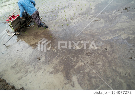 Agriculture 134077272