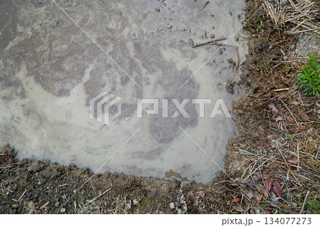 Agriculture Agriculture 134077273