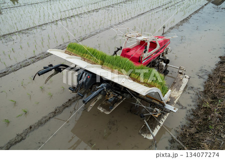 Agriculture 134077274