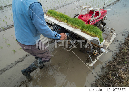 Agriculture 134077275