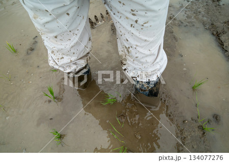 Agriculture Agriculture 134077276
