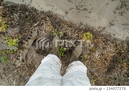 Agriculture 134077278