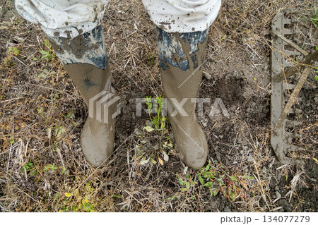 Agriculture 134077279