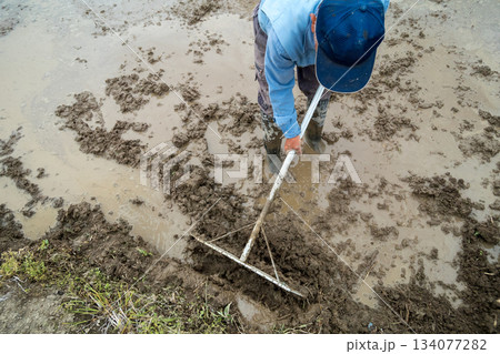 Agriculture 134077282