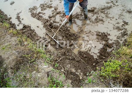 Agriculture Agriculture 134077286