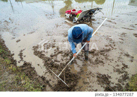 Agriculture Agriculture 134077287