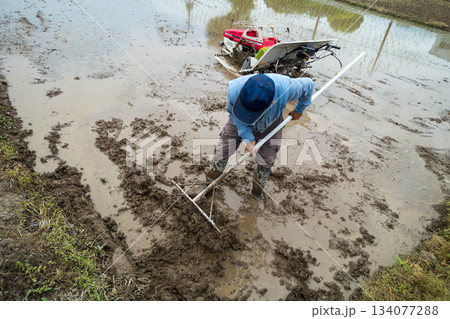 Agriculture 134077288