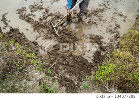 Agriculture 134077289