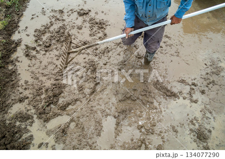 Agriculture 134077290
