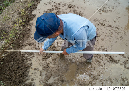 Agriculture 134077291