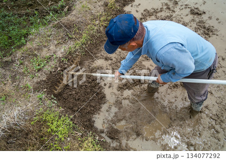 Agriculture 134077292