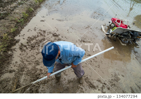 Agriculture 134077294