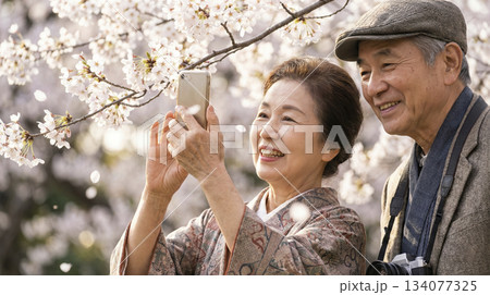 花見を楽しむ老夫婦 134077325
