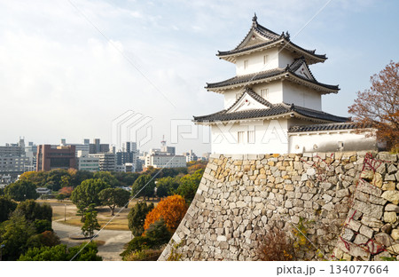 都市景観にそびえる明石城・巽櫓(石垣と公園、冬の風景) 都市景観にそびえる明石城・巽櫓(石垣と公園、冬の風景) 134077664