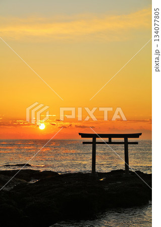 茨城県　大洗磯前神社からの初日の出 134077805