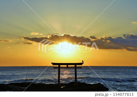 茨城県　大洗磯前神社からの初日の出 134077813