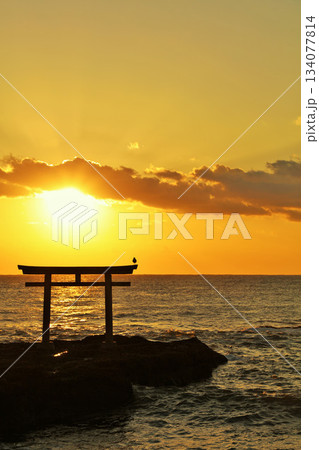 茨城県　大洗磯前神社からの初日の出 134077814