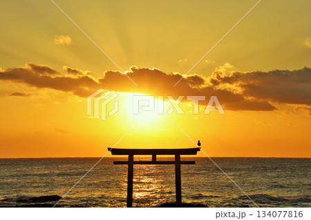 茨城県 大洗磯前神社からの初日の出 茨城県 大洗磯前神社からの初日の出 134077816