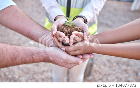 Plants, group and people hands for outdoor gardening, agriculture and business growth collaboration in teamwork. Palm, sapling soil and women and man with sustainable, agro and climate change project 134077872