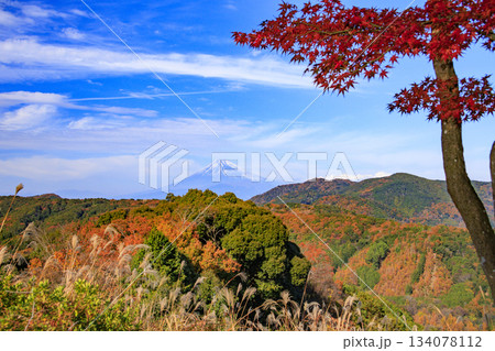紅葉見頃な伊豆修善寺もみじ林 134078112