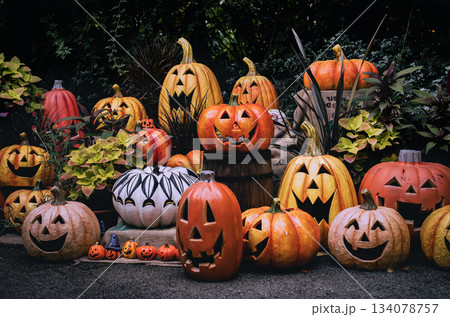 ハロウイン!愉快なカボチャの仲間達 ハロウイン!愉快なカボチャの仲間達 134078757