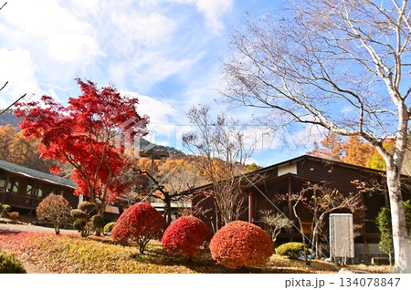 紅葉に包まれた大池自然の家 紅葉に包まれた大池自然の家 134078847