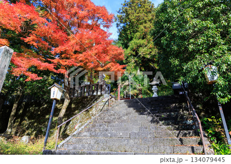 郡上八幡の秋葉三尺坊悟竹院へ続く石段と紅葉 134079445