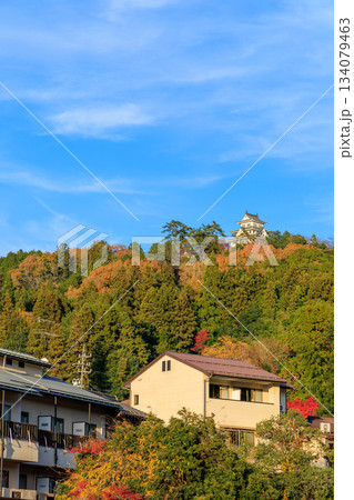 街並み越しに見える秋の郡上八幡城と紅葉の山並み風景 街並み越しに見える秋の郡上八幡城と紅葉の山並み風景 134079463