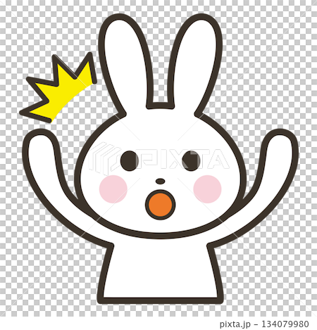 驚いて両手を上げるかわいいうさぎのキャラクターの上半身イラスト 134079980