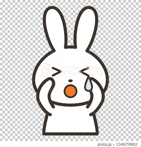 悲しくて泣いているかわいいうさぎのキャラクターの上半身イラスト 悲しくて泣いているかわいいうさぎのキャラクターの上半身イラスト 134079982
