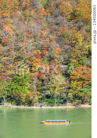 秋の最上川舟下り 秋の最上川舟下り 134080065