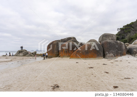 Landscape view of Squeaky Beach with the blue sky in Victoria, Australia 134080446
