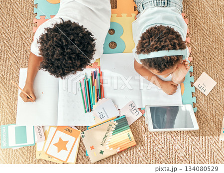 Kids, home education an online knowledge app with children doing elearning and writing activity. Kid video streaming, school student note book and above of a child and sibling together on the ground 134080529