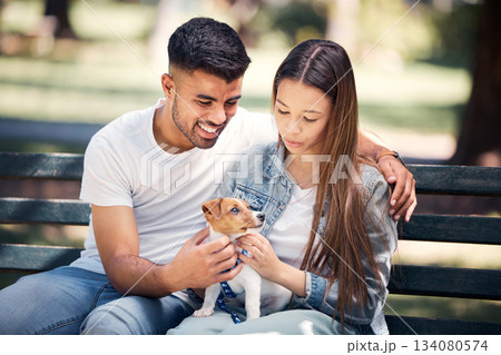 Man, woman and puppy relax in park, bench and summer sunshine with happiness, care and bond. Young couple, touch and small dog with calm, smile and hug for love, romance and family in nature together Man, woman and puppy relax in park, bench and summer sunshine with happiness, care and bond. Young couple, touch and small dog with calm, smile and hug for love, romance and family in nature together 134080574
