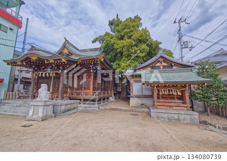 家島の宮浦神社と社殿の風景(兵庫・瀬戸内海) 家島の宮浦神社と社殿の風景(兵庫・瀬戸内海) 134080739
