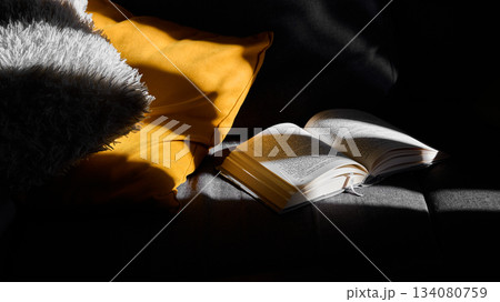A well lit space with a book open on a sofa A well lit space with a book open on a sofa 134080759