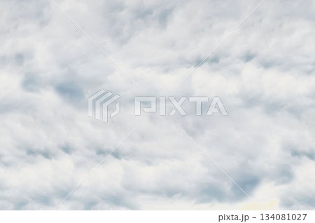 Clouds are forming dense light gray and white layer across entire frame in flat design 134081027