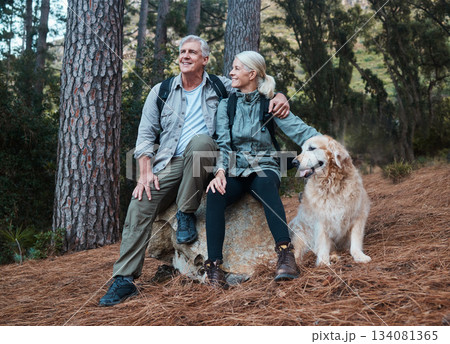 Forest, hiking and old couple with dog sitting on rock in mountains in Peru on retirement holiday adventure. Travel, senior man and woman relax together on nature walk with love, Labrador and health. Forest, hiking and old couple with dog sitting on rock in mountains in Peru on retirement holiday adventure. Travel, senior man and woman relax together on nature walk with love, Labrador and health. 134081365