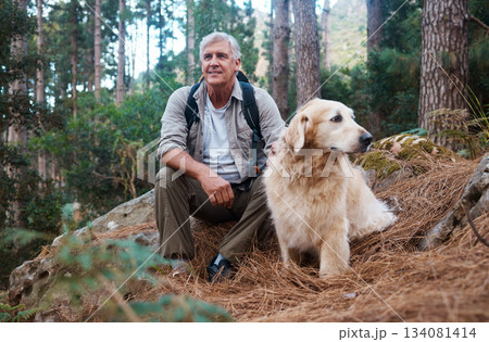 Adventure, explore and man hiking with her dog, pet or animal in the winter forest for exercise, workout or fitness. Trekking, travel and elderly or senior male trekking with a puppy on holiday Adventure, explore and man hiking with her dog, pet or animal in the winter forest for exercise, workout or fitness. Trekking, travel and elderly or senior male trekking with a puppy on holiday 134081414