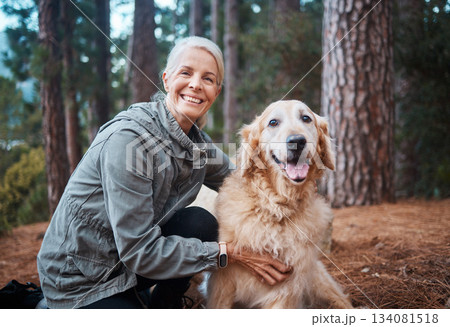 Elderly woman, portrait and hiking with dog in forest and fitness, travel and pet with love and care. Nature, trekking and vitality, mature female in retirement and golden retriever puppy outdoor 134081518