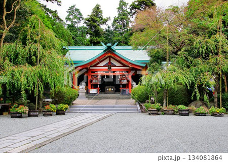 創建は1161年…富士山開山式・閉山式も行われる『新橋浅間神社』 創建は1161年…富士山開山式・閉山式も行われる『新橋浅間神社』 134081864