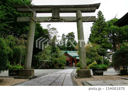 創建は1161年…富士山開山式・閉山式も行われる『新橋浅間神社』 134081870